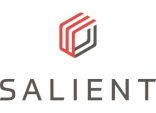 Salient logo medium